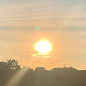 Meet your Posher, Ava and